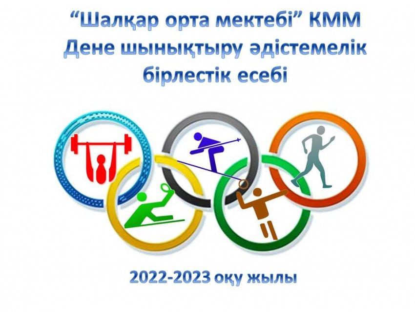 Дене шынықтыру әдістемелік бірлестігі
